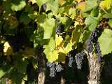 2004-10-24_16-18-22_Octobre_200,0mm_1_50_eme_DiMAGE A2